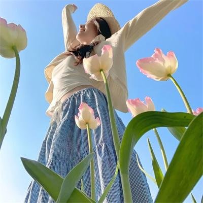 联邦调查局第五季